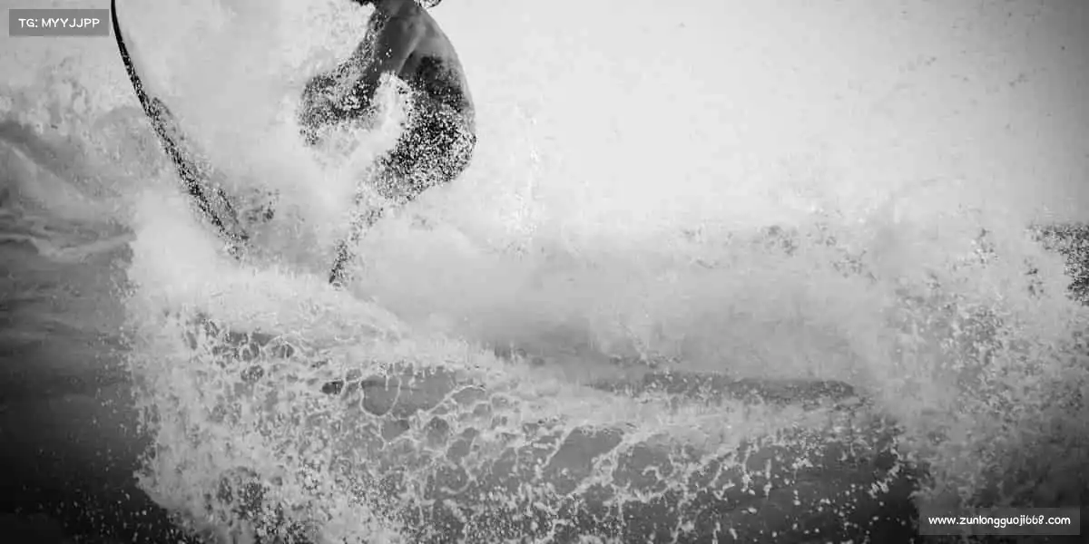 行业领先的理由